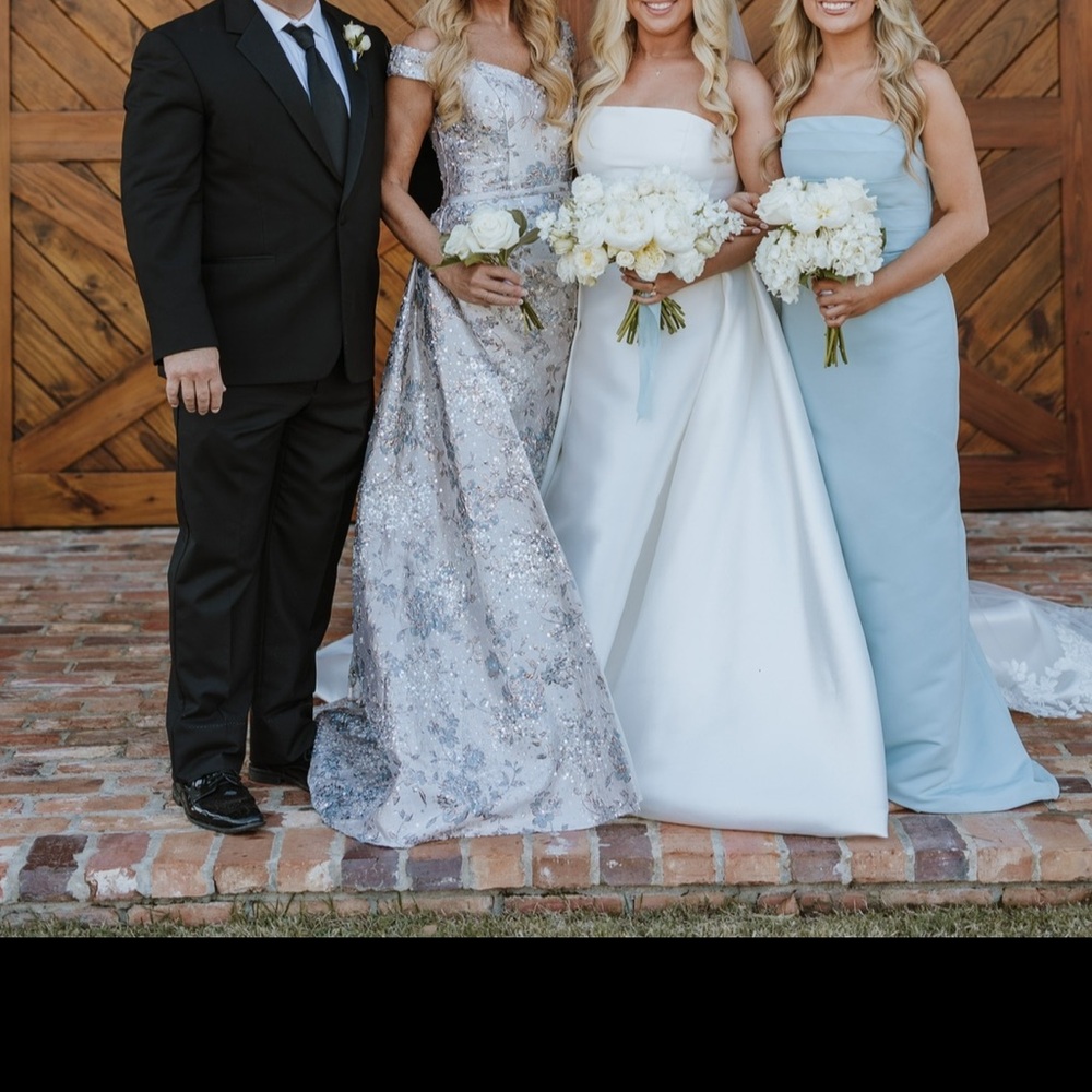 Rina diMontella Silver and White Maxi Dress